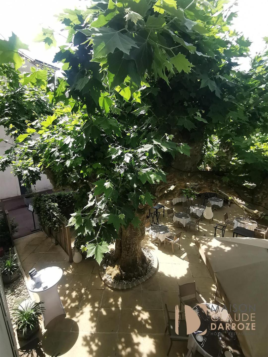 Logis Hotel - Restaurant Maison Claude Darroze Langon  Εξωτερικό φωτογραφία
